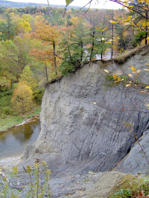 Monkey Run Cliff